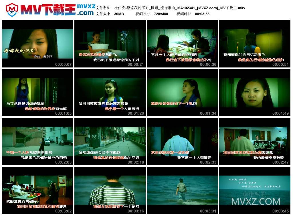 崔伟亮-原谅我的不对_国语_流行歌曲_MA102341